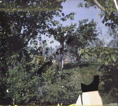 F1299